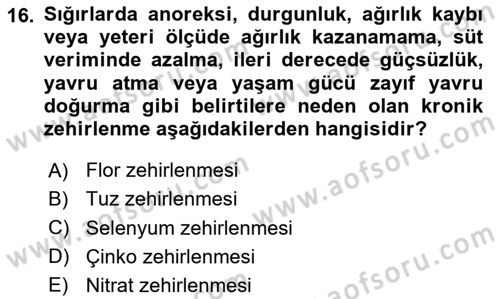 Temel Veteriner Farmakoloji ve Toksikoloji Dersi 2023 - 2024 Yılı Yaz Okulu Sınav Soruları 16. Soru