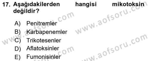 Temel Veteriner Farmakoloji ve Toksikoloji Dersi 2023 - 2024 Yılı Yaz Okulu Sınav Soruları 17. Soru