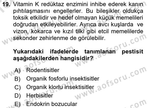 Temel Veteriner Farmakoloji ve Toksikoloji Dersi 2023 - 2024 Yılı Yaz Okulu Sınav Soruları 19. Soru