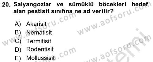 Temel Veteriner Farmakoloji ve Toksikoloji Dersi 2023 - 2024 Yılı Yaz Okulu Sınav Soruları 20. Soru
