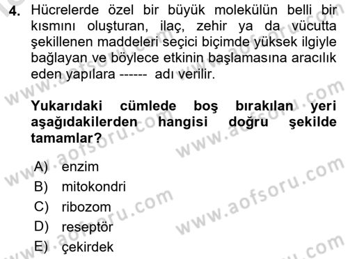 Temel Veteriner Farmakoloji ve Toksikoloji Dersi 2023 - 2024 Yılı Yaz Okulu Sınav Soruları 4. Soru