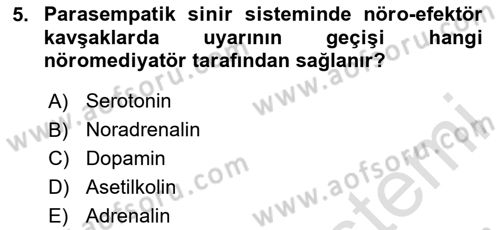 Temel Veteriner Farmakoloji ve Toksikoloji Dersi 2023 - 2024 Yılı Yaz Okulu Sınav Soruları 5. Soru