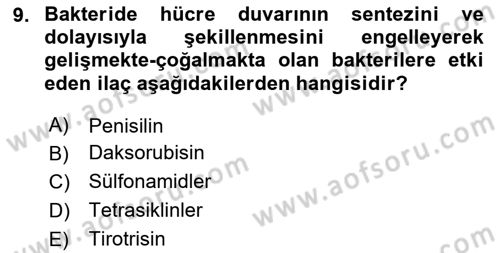 Temel Veteriner Farmakoloji ve Toksikoloji Dersi 2023 - 2024 Yılı Yaz Okulu Sınav Soruları 9. Soru