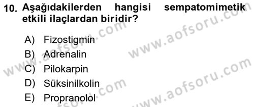 Temel Veteriner Farmakoloji ve Toksikoloji Dersi 2024 - 2025 Yılı (Vize) Ara Sınav Soruları 10. Soru