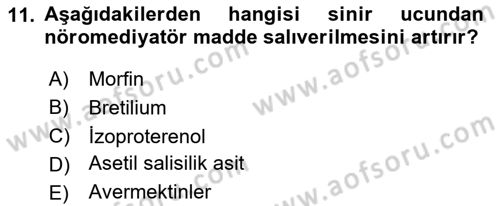 Temel Veteriner Farmakoloji ve Toksikoloji Dersi 2024 - 2025 Yılı (Vize) Ara Sınav Soruları 11. Soru