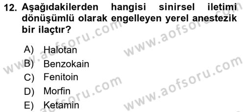 Temel Veteriner Farmakoloji ve Toksikoloji Dersi 2024 - 2025 Yılı (Vize) Ara Sınav Soruları 12. Soru