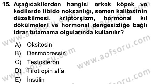 Temel Veteriner Farmakoloji ve Toksikoloji Dersi 2024 - 2025 Yılı (Vize) Ara Sınav Soruları 15. Soru