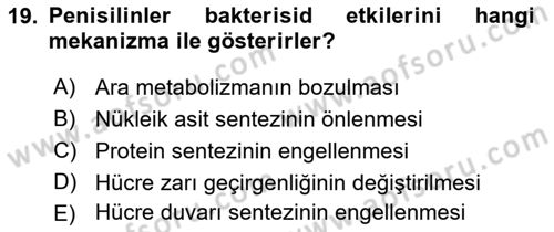 Temel Veteriner Farmakoloji ve Toksikoloji Dersi 2024 - 2025 Yılı (Vize) Ara Sınav Soruları 19. Soru
