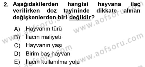 Temel Veteriner Farmakoloji ve Toksikoloji Dersi 2024 - 2025 Yılı (Vize) Ara Sınav Soruları 2. Soru