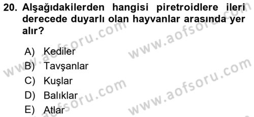 Temel Veteriner Farmakoloji ve Toksikoloji Dersi 2024 - 2025 Yılı (Vize) Ara Sınav Soruları 20. Soru