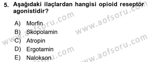 Temel Veteriner Farmakoloji ve Toksikoloji Dersi 2024 - 2025 Yılı (Vize) Ara Sınav Soruları 5. Soru