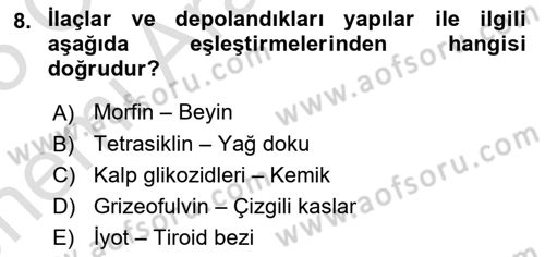 Temel Veteriner Farmakoloji ve Toksikoloji Dersi 2024 - 2025 Yılı (Vize) Ara Sınav Soruları 8. Soru