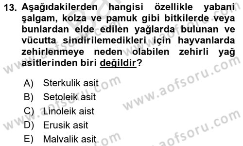Temel Veteriner Farmakoloji ve Toksikoloji Dersi 2024 - 2025 Yılı (Final) Dönem Sonu Sınav Soruları 13. Soru