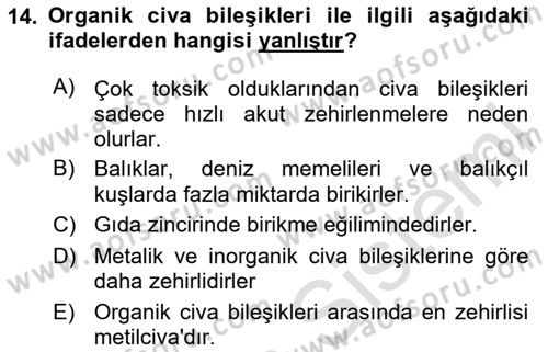 Temel Veteriner Farmakoloji ve Toksikoloji Dersi 2024 - 2025 Yılı (Final) Dönem Sonu Sınav Soruları 14. Soru