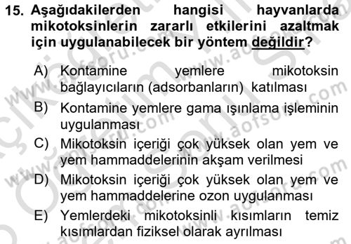 Temel Veteriner Farmakoloji ve Toksikoloji Dersi 2024 - 2025 Yılı (Final) Dönem Sonu Sınav Soruları 15. Soru