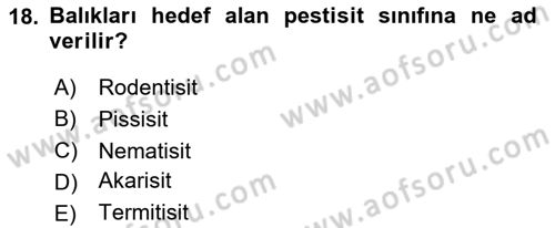 Temel Veteriner Farmakoloji ve Toksikoloji Dersi 2024 - 2025 Yılı (Final) Dönem Sonu Sınav Soruları 18. Soru