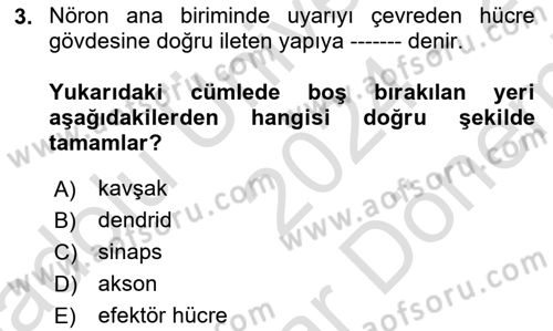 Temel Veteriner Farmakoloji ve Toksikoloji Dersi 2024 - 2025 Yılı (Final) Dönem Sonu Sınav Soruları 3. Soru