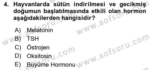 Temel Veteriner Farmakoloji ve Toksikoloji Dersi 2024 - 2025 Yılı (Final) Dönem Sonu Sınav Soruları 4. Soru