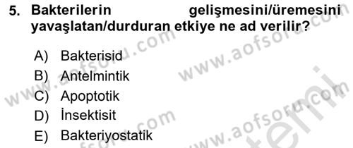 Temel Veteriner Farmakoloji ve Toksikoloji Dersi 2024 - 2025 Yılı (Final) Dönem Sonu Sınav Soruları 5. Soru