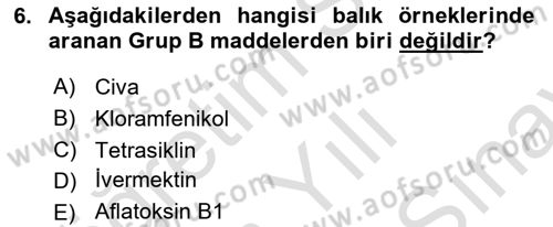 Temel Veteriner Farmakoloji ve Toksikoloji Dersi 2024 - 2025 Yılı (Final) Dönem Sonu Sınav Soruları 6. Soru