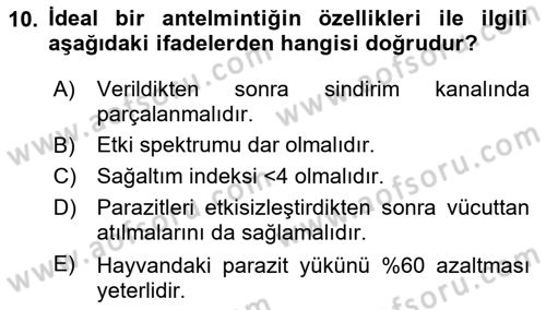 Temel Veteriner Farmakoloji ve Toksikoloji Dersi 2024 - 2025 Yılı Yaz Okulu Sınav Soruları 10. Soru