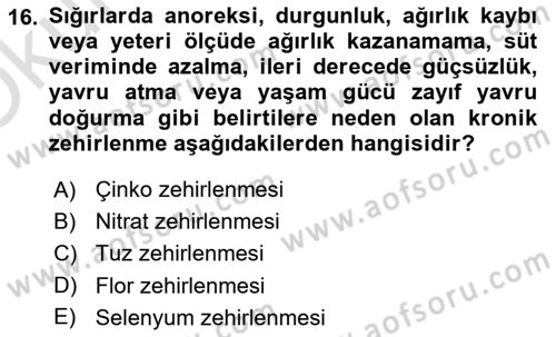 Temel Veteriner Farmakoloji ve Toksikoloji Dersi 2024 - 2025 Yılı Yaz Okulu Sınav Soruları 16. Soru