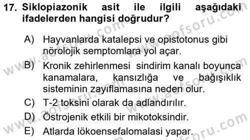 Temel Veteriner Farmakoloji ve Toksikoloji Dersi 2024 - 2025 Yılı Yaz Okulu Sınav Soruları 17. Soru