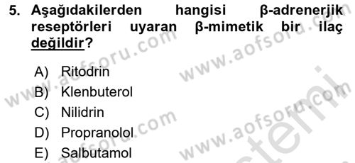Temel Veteriner Farmakoloji ve Toksikoloji Dersi 2024 - 2025 Yılı Yaz Okulu Sınav Soruları 5. Soru