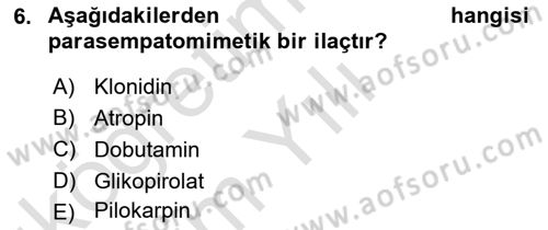 Temel Veteriner Farmakoloji ve Toksikoloji Dersi 2024 - 2025 Yılı Yaz Okulu Sınav Soruları 6. Soru