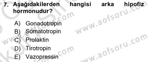 Temel Veteriner Farmakoloji ve Toksikoloji Dersi 2024 - 2025 Yılı Yaz Okulu Sınav Soruları 7. Soru