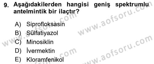 Temel Veteriner Farmakoloji ve Toksikoloji Dersi 2024 - 2025 Yılı Yaz Okulu Sınav Soruları 9. Soru