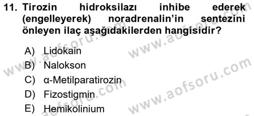 Temel Veteriner Farmakoloji ve Toksikoloji Dersi 2025 - 2026 Yılı (Vize) Ara Sınav Soruları 11. Soru
