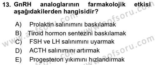 Temel Veteriner Farmakoloji ve Toksikoloji Dersi 2025 - 2026 Yılı (Vize) Ara Sınav Soruları 13. Soru