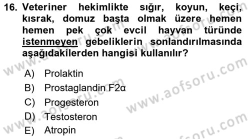 Temel Veteriner Farmakoloji ve Toksikoloji Dersi 2025 - 2026 Yılı (Vize) Ara Sınav Soruları 16. Soru