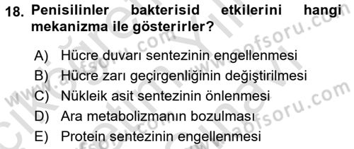 Temel Veteriner Farmakoloji ve Toksikoloji Dersi 2025 - 2026 Yılı (Vize) Ara Sınav Soruları 18. Soru