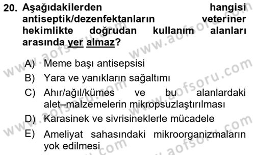 Temel Veteriner Farmakoloji ve Toksikoloji Dersi 2025 - 2026 Yılı (Vize) Ara Sınav Soruları 20. Soru