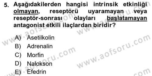 Temel Veteriner Farmakoloji ve Toksikoloji Dersi 2025 - 2026 Yılı (Vize) Ara Sınav Soruları 5. Soru