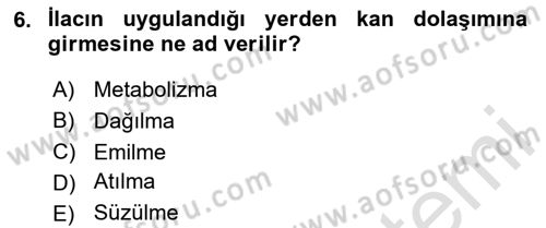 Temel Veteriner Farmakoloji ve Toksikoloji Dersi 2025 - 2026 Yılı (Vize) Ara Sınav Soruları 6. Soru