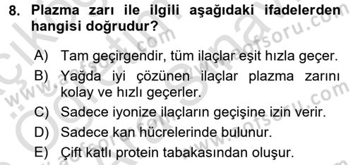 Temel Veteriner Farmakoloji ve Toksikoloji Dersi 2025 - 2026 Yılı (Vize) Ara Sınav Soruları 8. Soru