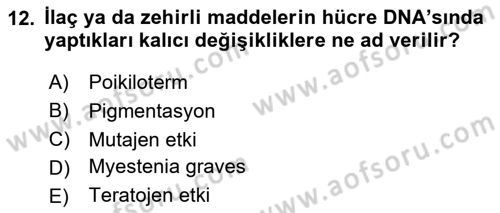 Temel Veteriner Farmakoloji ve Toksikoloji Dersi 2025 - 2026 Yılı Yaz Okulu Sınav Soruları 12. Soru