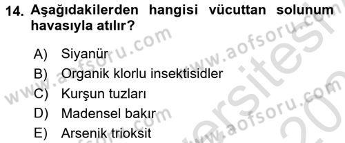 Temel Veteriner Farmakoloji ve Toksikoloji Dersi 2025 - 2026 Yılı Yaz Okulu Sınav Soruları 14. Soru
