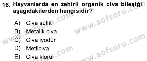 Temel Veteriner Farmakoloji ve Toksikoloji Dersi 2025 - 2026 Yılı Yaz Okulu Sınav Soruları 16. Soru