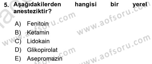 Temel Veteriner Farmakoloji ve Toksikoloji Dersi 2025 - 2026 Yılı Yaz Okulu Sınav Soruları 5. Soru