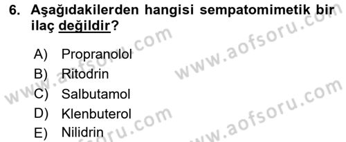 Temel Veteriner Farmakoloji ve Toksikoloji Dersi 2025 - 2026 Yılı Yaz Okulu Sınav Soruları 6. Soru
