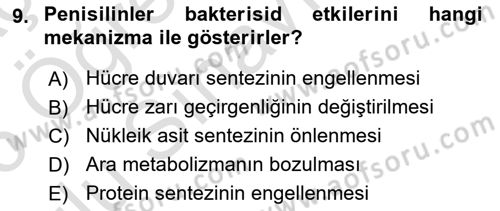 Temel Veteriner Farmakoloji ve Toksikoloji Dersi 2025 - 2026 Yılı Yaz Okulu Sınav Soruları 9. Soru
