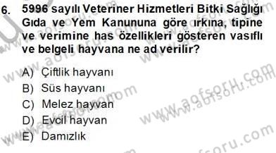 Veteriner Hizmetleri Mevzuatı ve Etik Dersi 2014 - 2015 Yılı (Final) Dönem Sonu Sınav Soruları 6. Soru
