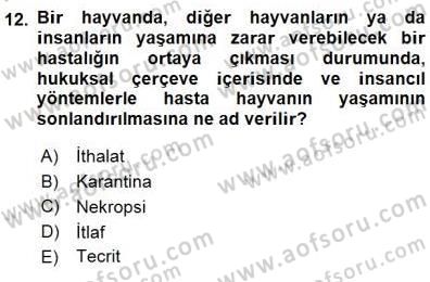 Veteriner Hizmetleri Mevzuatı ve Etik Dersi 2015 - 2016 Yılı (Final) Dönem Sonu Sınav Soruları 12. Soru