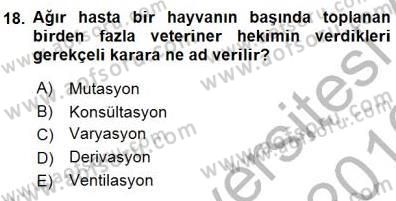 Veteriner Hizmetleri Mevzuatı ve Etik Dersi 2015 - 2016 Yılı (Final) Dönem Sonu Sınav Soruları 18. Soru