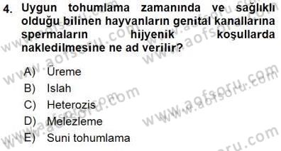 Veteriner Hizmetleri Mevzuatı ve Etik Dersi 2015 - 2016 Yılı (Final) Dönem Sonu Sınav Soruları 4. Soru