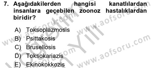 Veteriner Hizmetleri Mevzuatı ve Etik Dersi 2016 - 2017 Yılı 3 Ders Sınav Soruları 7. Soru
